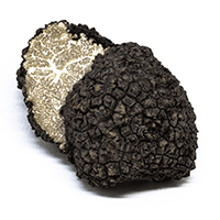 Black Truffle Extract